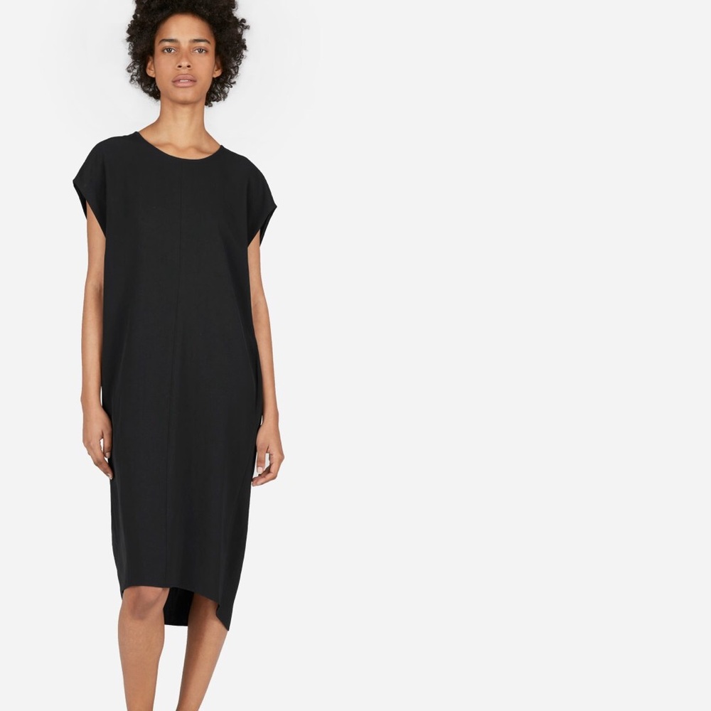 Everlane Black Japanese GoWeave Cocoon Dress